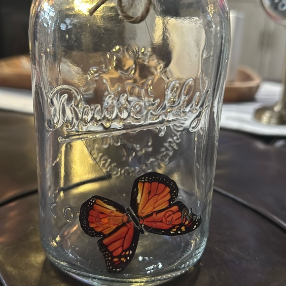 Butterfly Collection, Pink Butterfly & Multi-Colored Butterfly in a Jar! - Picture 3 of 13